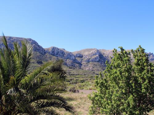 Acheter sur la costa Blanca - Alpatró