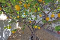 Agence immobilière Denia, Monte Pego - A vendre Villa, 3 chambres